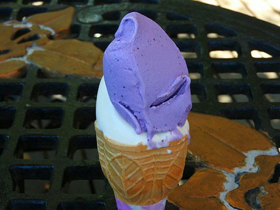 Lake Hill Farm Ice Cream Honten Gelato Shop